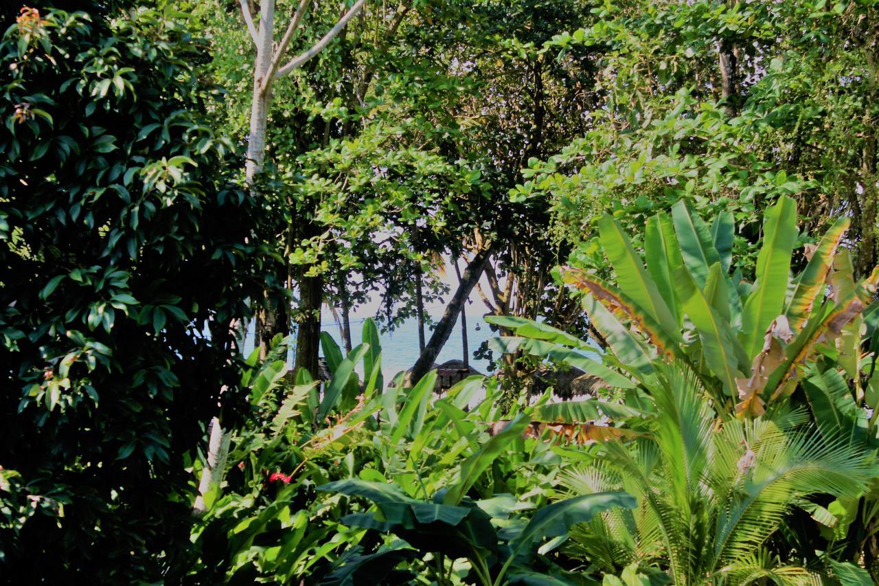 ホテル Casa Natural Puerto Viejo Puerto Viejo de Talamanca エクステリア 写真