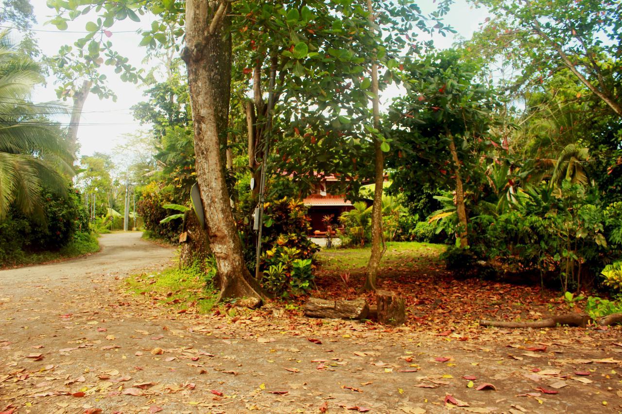 ホテル Casa Natural Puerto Viejo Puerto Viejo de Talamanca エクステリア 写真